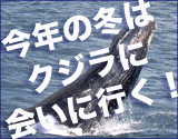 クジラに会いに行こう！